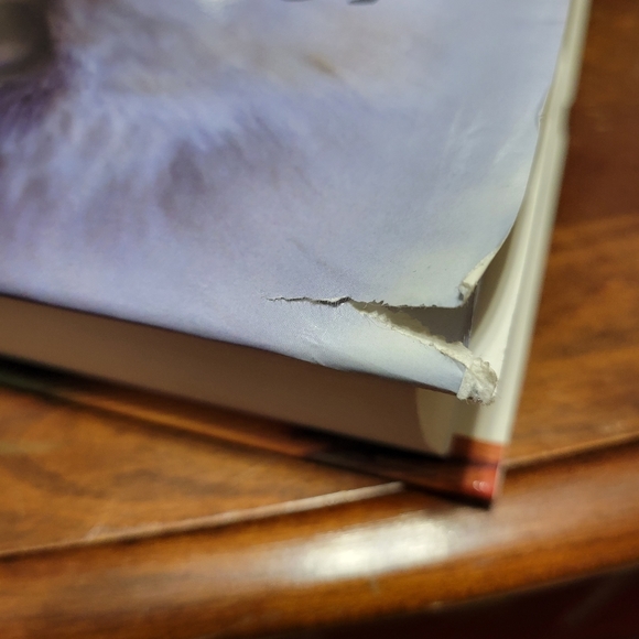 Encyclopedia of BIRDS book contains illustrations and photographs hardcover - Picture 7 of 11